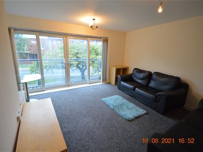 Picture 7